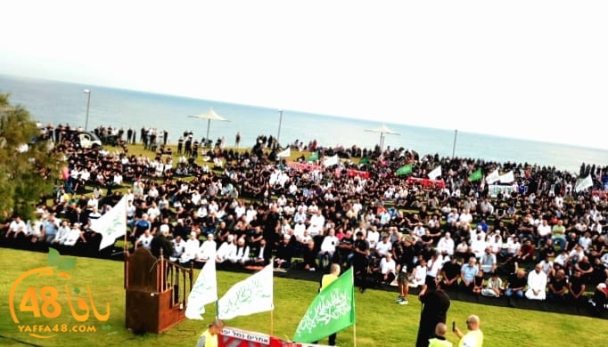 WhatsApp Image 2023-06-28 at 11.33.43 AM (1).jpeg